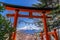 Red pole and fuji mountains in Japan.