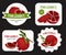 Red Pomegranate Sticker Design with Ripe Fruit with Seeds Vector Template