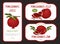 Red Pomegranate Sticker Design with Ripe Fruit with Seeds Vector Template