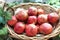 Red Pomegranate whole fruit displayed on basket