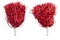 Red pompoms for cheerleaders hold sports cheer on white background.