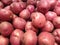 Red Pontiac Potatoes for Sale.