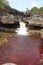 Red Pools Jungle Falls Cano Cristales