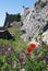 Red poppies and ancient castle(Marvao,Portugal)