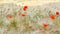 Red Poppies in a barley field