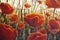 Red poppies big flowers close up Flower painting on canvas. Acrylic painting