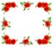 Red poppies Binomial name: Papaver rhoeas, common names: common poppy, corn poppy, corn rose, field poppy