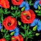 Red poppies ,blue cornflowers