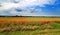 Red poppies on a field, the sky and the clouds and the village i