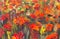 Red poppies flowers painting. Macro Close up fragment