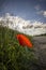 Red poppies in the foreground on the roadside