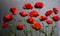 Red poppies on grey background