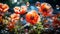 Red poppies with large soap bubbles, illuminated by the rays of the sun, grow on the lawn