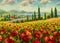 Red poppies painting. Italian Lavender summer countryside. French Tuscany. Field of yellow rye. Rural houses and high cypress tree