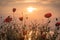 Red poppies on the sea shore at sunrise