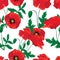 Red poppies seamless