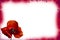 Red poppy card