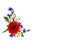 Red poppy, cornflowers and chamomile on white background with space for text. Flat lay