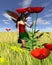 Red Poppy Fairy with Cornfield Background