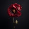 Red Poppy Flower: A Baroque-inspired Dark Composition