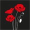 Red Poppy flower isolated on black background.