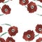 Red poppy flowers square border illustration