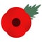 Red poppy and green leaf. Memory symbol