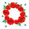 Red poppy illustration. Vector Ñircular flower frame with green leaves on white.