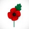 Red poppy remembrance day