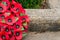 Red poppy wreaths laid at the bottom of a war memorial for Remembrance day