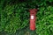 Red postbox surrounded by green leaves