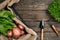 Red potatoes on burlap with greenery and a garden spade and rake on a wooden brown background