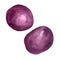 Red potatoes watercolor illustration on white background