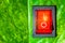 Red power switch on green leaves save World concept friendly ene