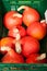 Red pumpkins in the market