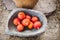 Red pumpkins in stone bowl. Autumn seasonal food