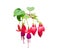 Red with Purple bells of fuchsia flowers