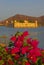 Red Purple Bougainvillea with Jal Mahal