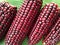 red purple corn