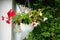 Red and purple petunias, along with white \\\'Illumination White\\\' begonias, bloom in a hanging pot in July.