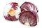 Red radicchio cabbage