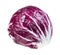 Red Radicchio Italian leaf chicory cutout