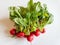 Red radish isolated on white background with grean leaf