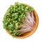 Red radish microgreens in wooden bowl over white