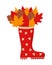 Red rain boot with autumn leaves bouquet