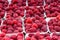 Red raspberries in boxes at local farm market