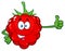 Red Raspberry Fruit Cartoon Mascot Character Giving A Thumb Up