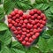 Red Raspberry Heart with green leaves