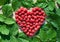 Red Raspberry Heart with green leaves