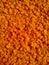 Red raw organic lentils texture. Food ingredient background. Nepal